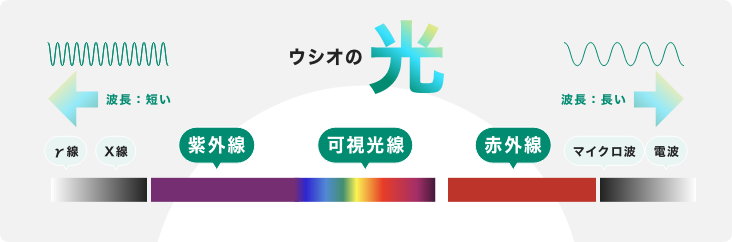 ウシオの光の図